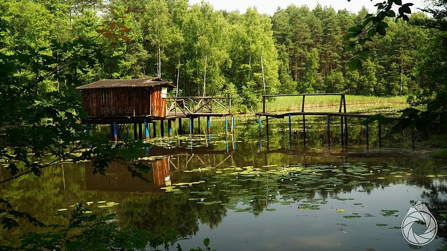 domek na wodzie z zerwanym mostem, lasy szczejkowickie