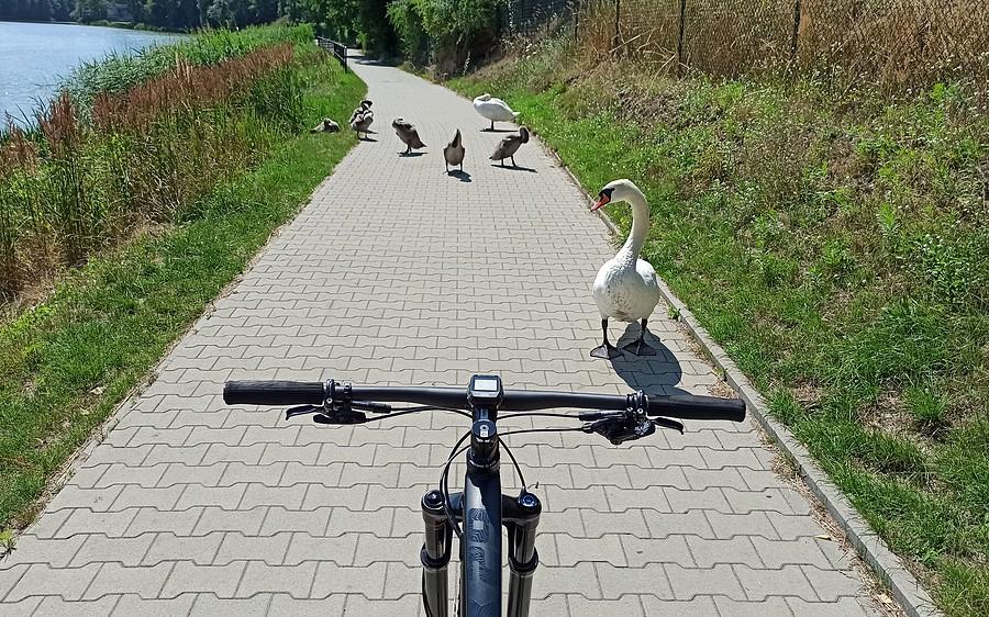 Taka sytuacja na nadwarciańskim
