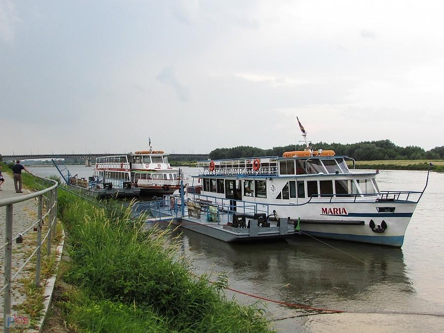 Flota sandomierska