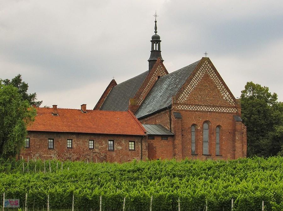 Widok na kosciół św. Jakuba od strony sandomierskiego zamku