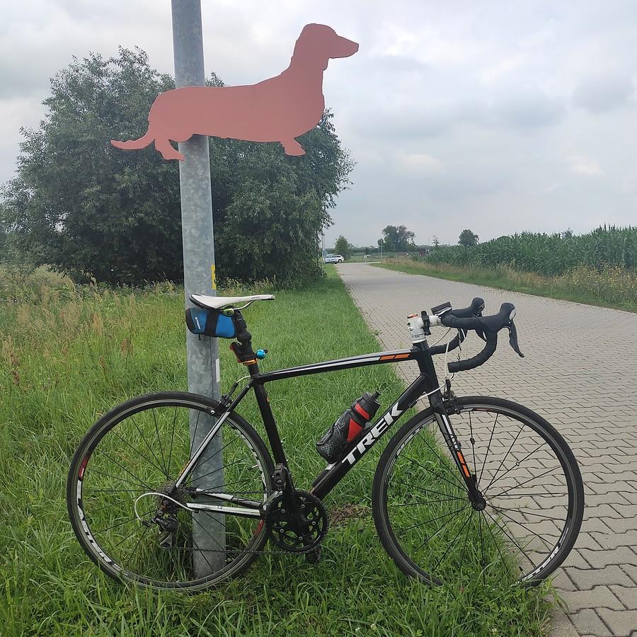 Przed schroniskiem w Skałowie