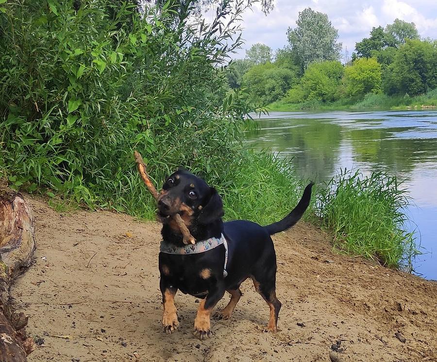 Piorun jako żongler