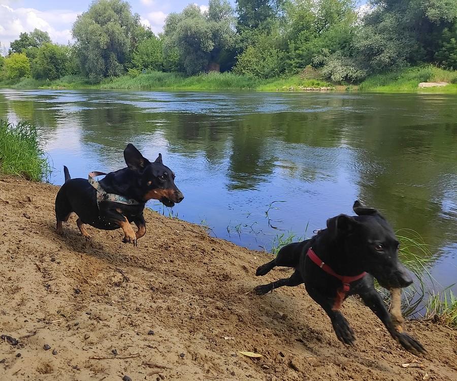 Pościg klonów :)