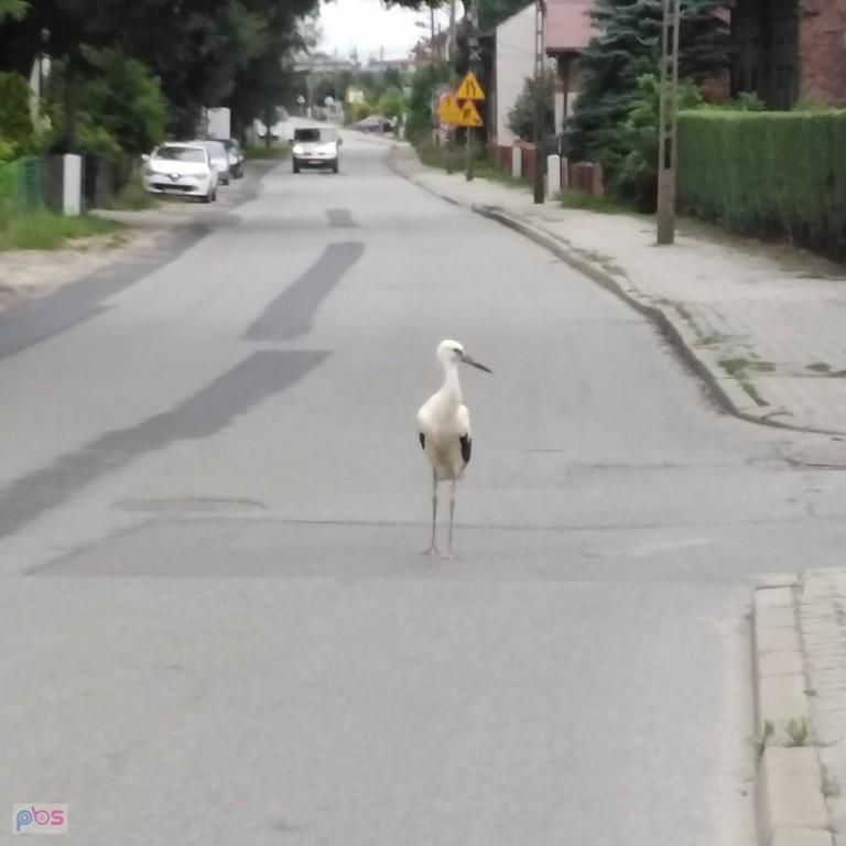 a se stoi, kto mu zabroni