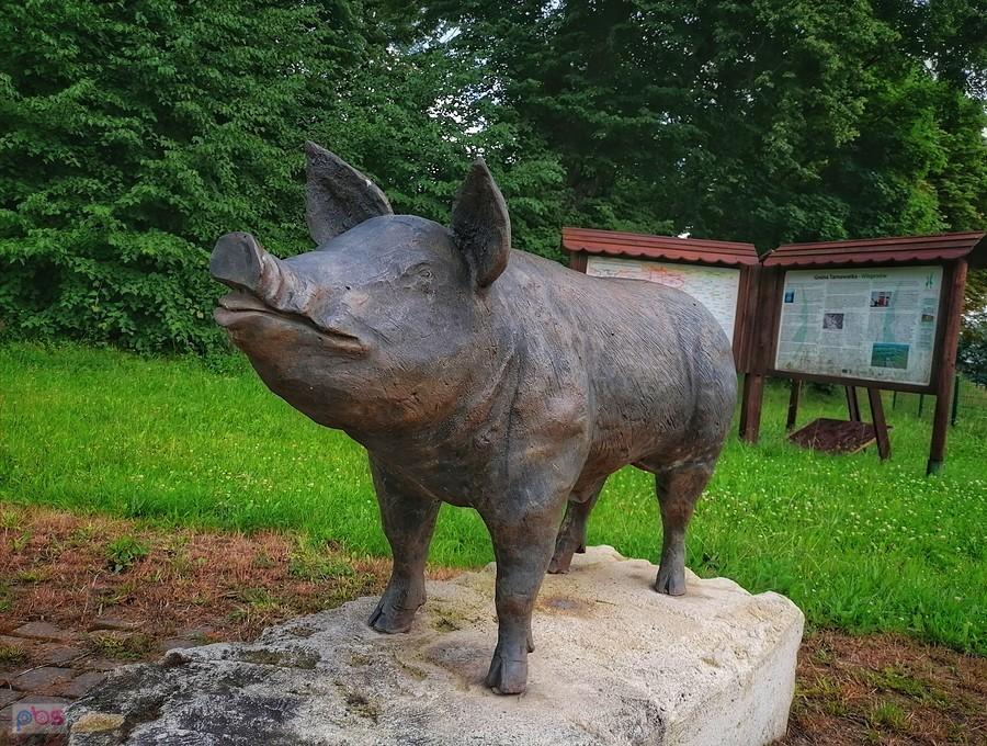 Wieprz nad Wieprzem w Wieprzowie