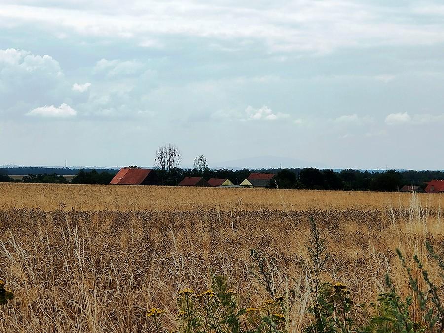 Przy dobrej widoczności można dostrzec Ślężę.