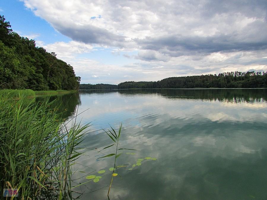 Jezioro Ciche - widok z północnego brzegu