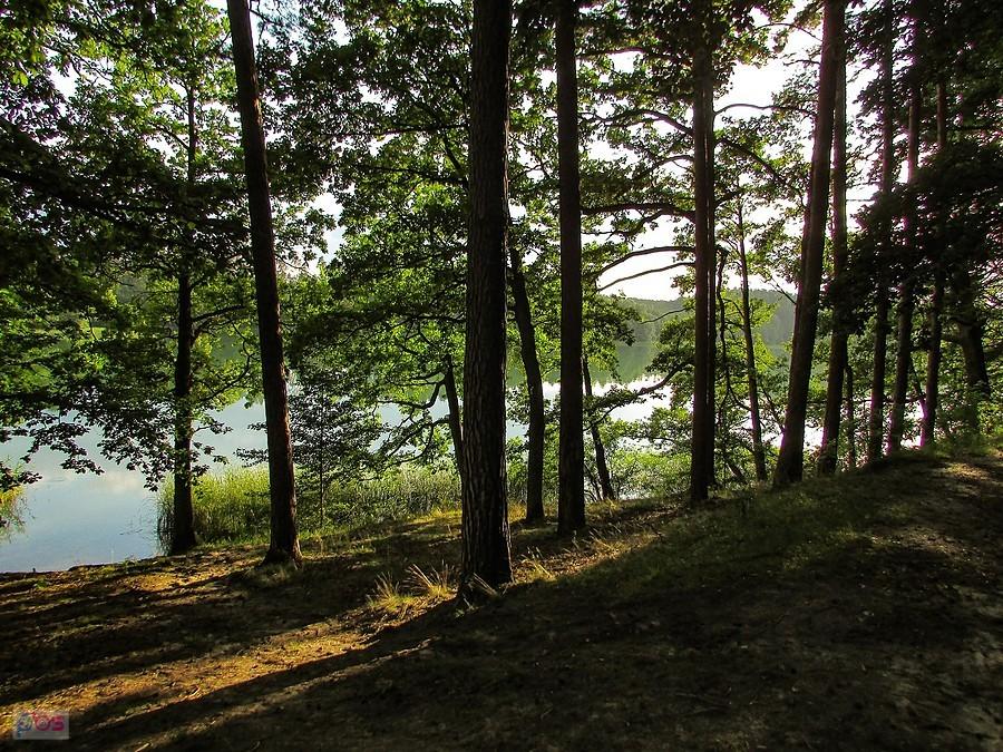 Jezioro Ciche to jezioro rynnowe ze skarpami ok 20-30 m.