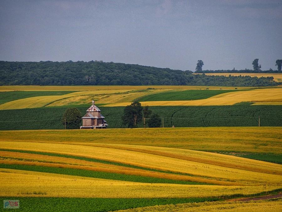 Grzęda Sokalska. Cerkiew w Mycowie.