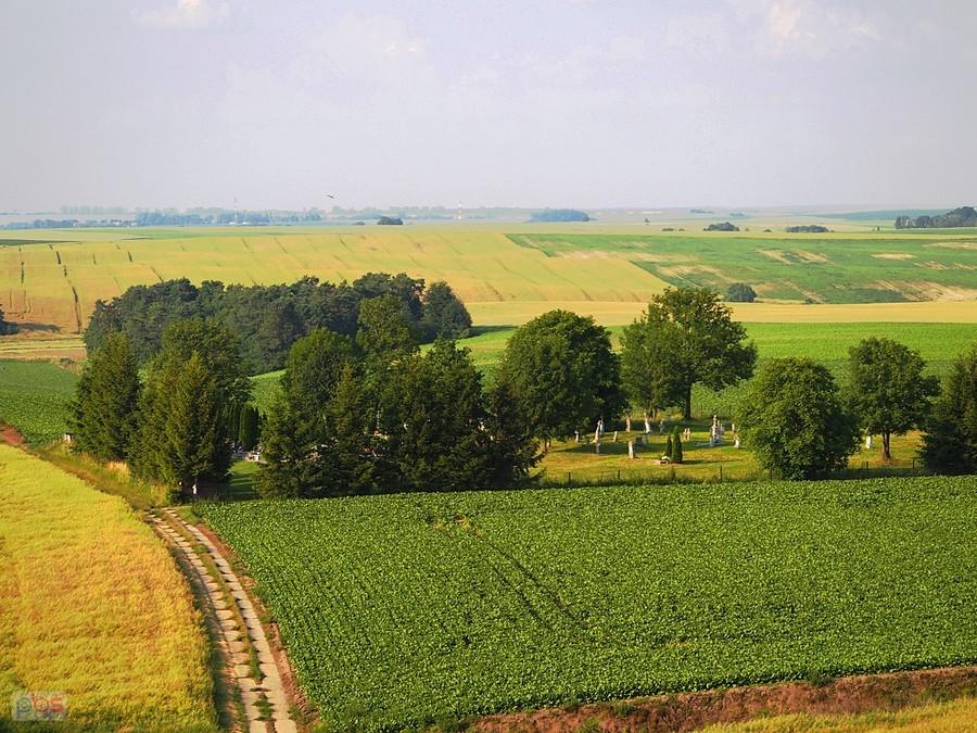Chłopiatyn. Widok z wieży.