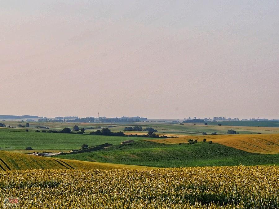 Pola pod Wyżłowem
