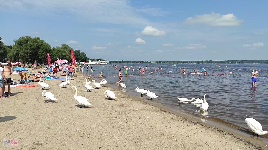Nad Zalewem Zegrzyńskim. I kto tu komu przeszkadza ???