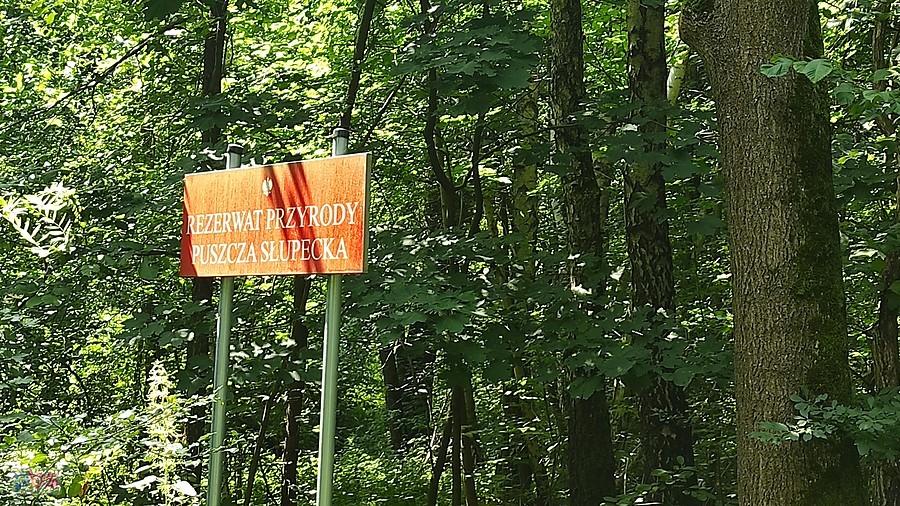 W rezerwacie ...........