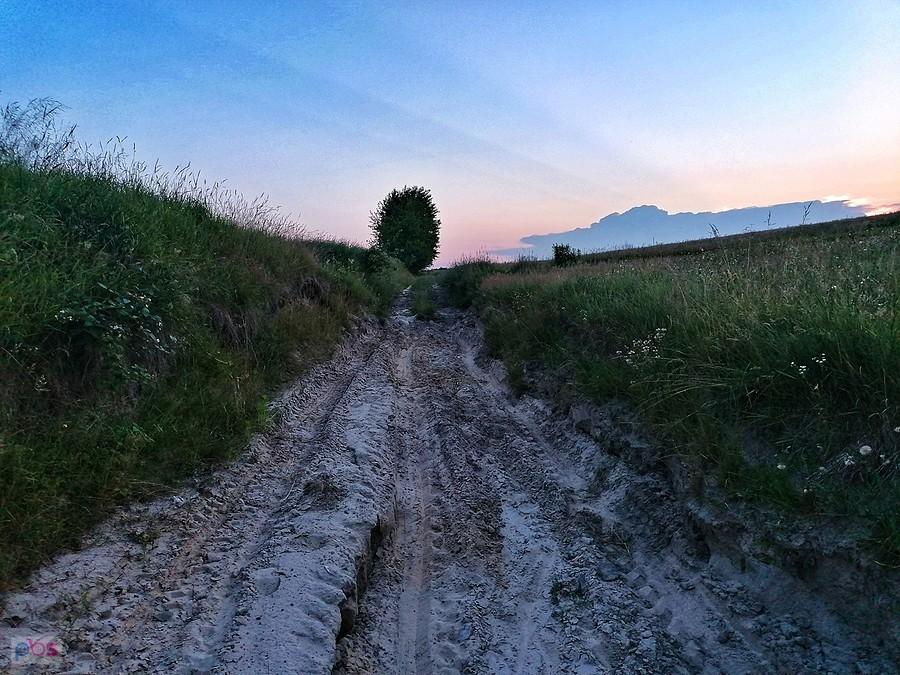Roztoczańskie piaski