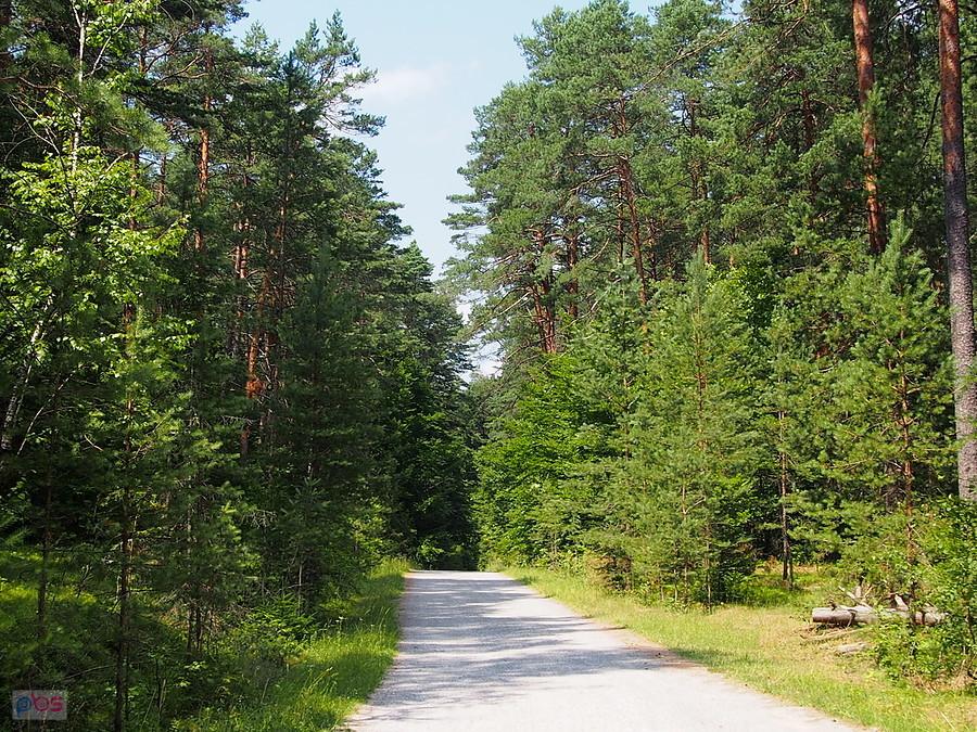 Przez Roztoczański Park Narodowy