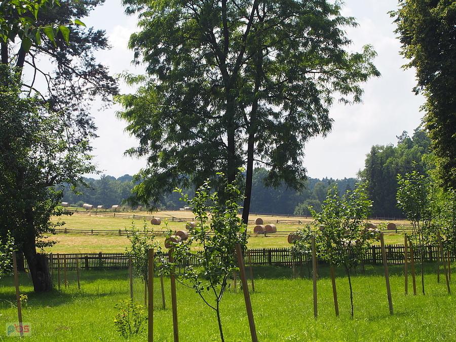Roztoczańskie klimaty