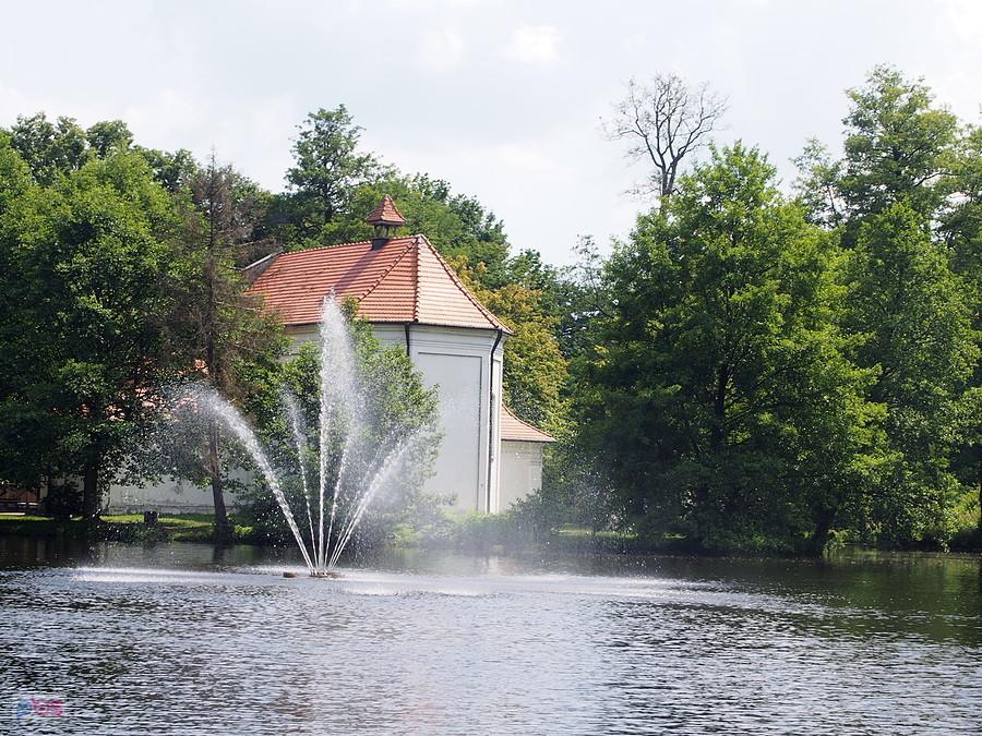 Staw z kościołem na wyspie w Zwierzyńcu