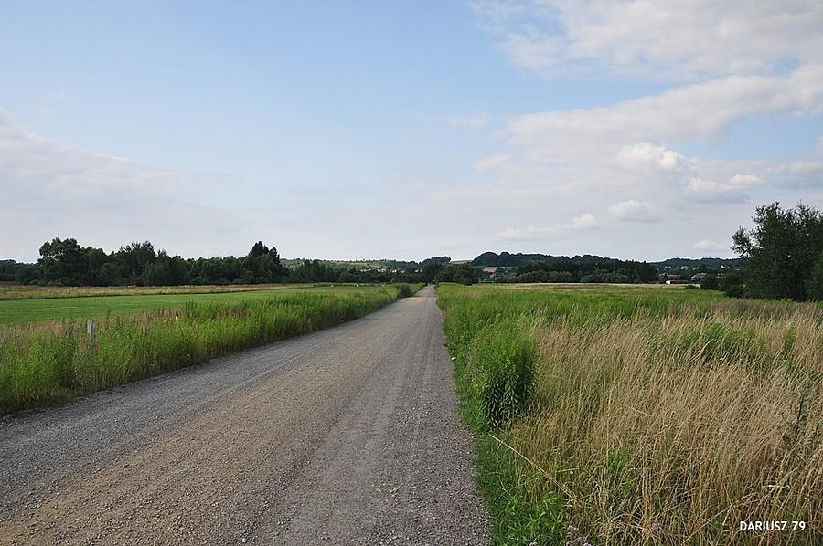 Niegowoniczki