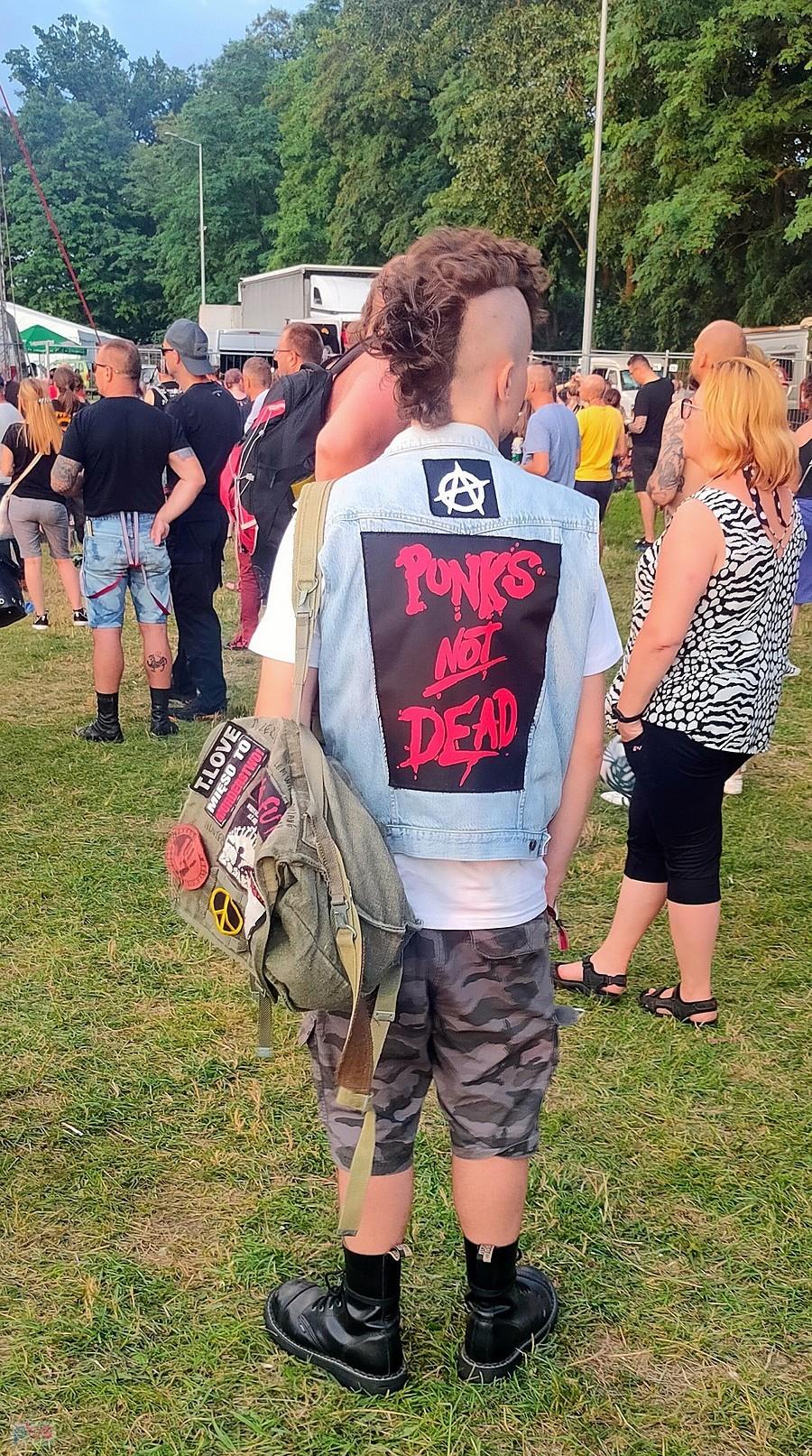 Punks not dead