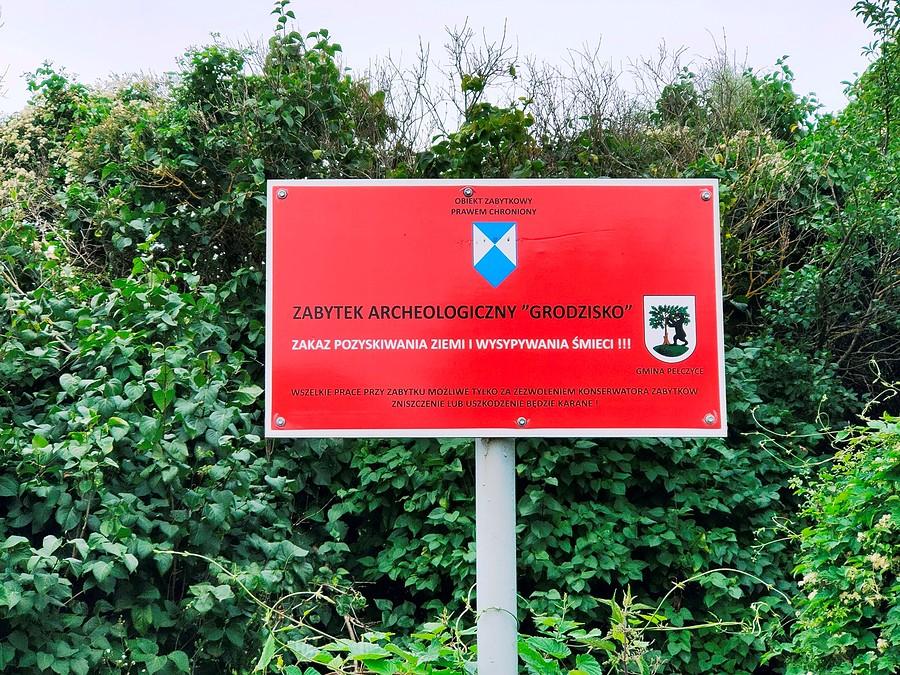 Grodzisko w Pełczycach