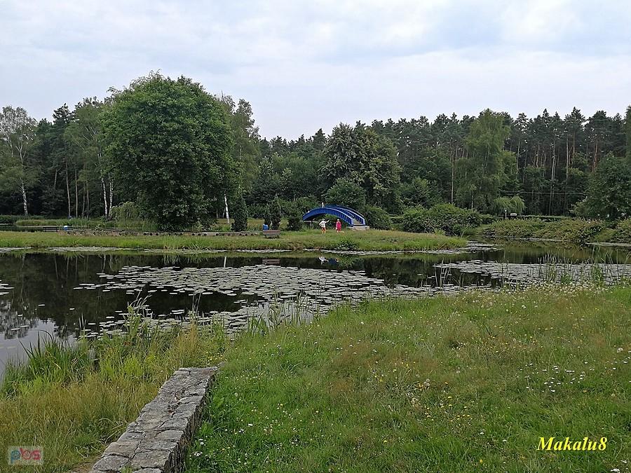 Pniowiec