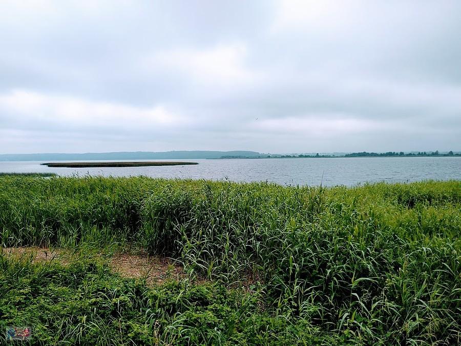 Jezioro Żarnowieckie