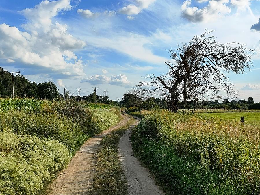 Szlak Zielona Odra: Marwice - Widuchowa