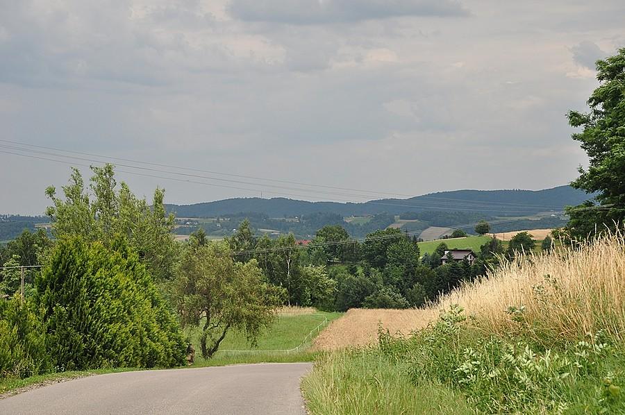 Rzepiennik Strzyżewski