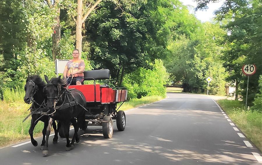 Sympatyczna bryczka mijana w Sowińcu
