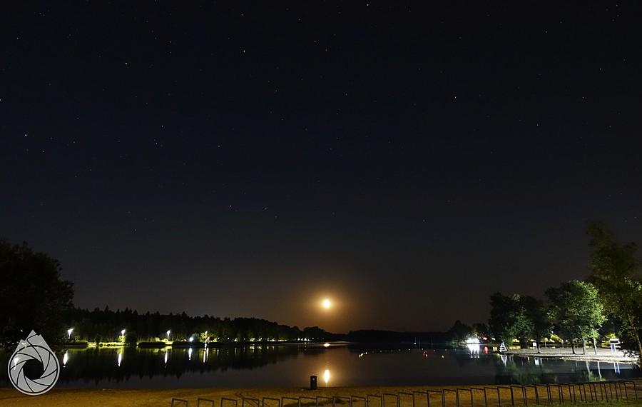 Sosina nocą