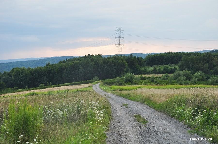 Łysa Góra - Pogórze Wiśnickie