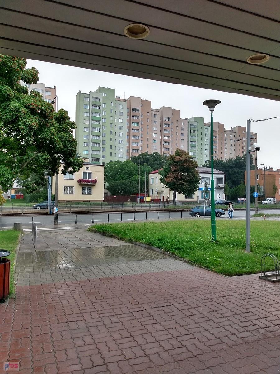 Widok spod daszku
