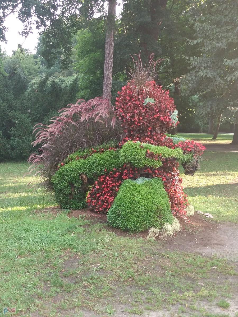 Inne ujęcie