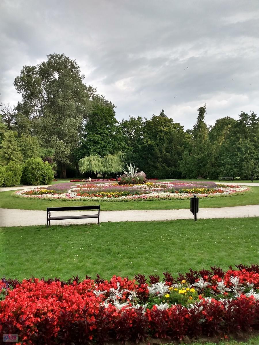 W Parku Zdrojowym