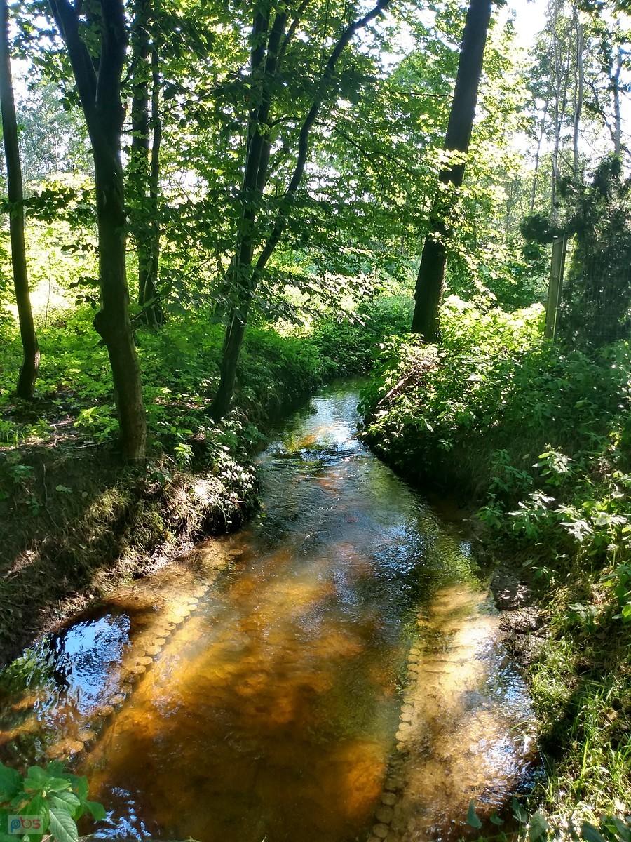 Strumyk w Klaudynie
