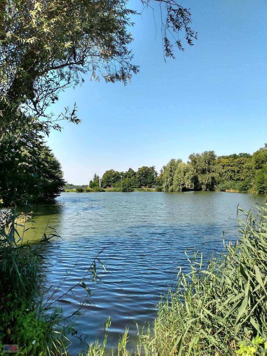 Staw w Zielonkach