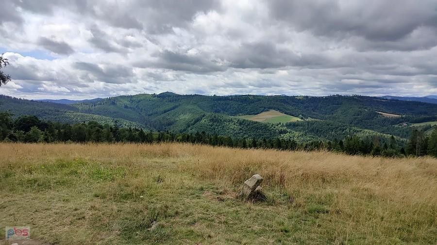 Ostatnie spojrzenie