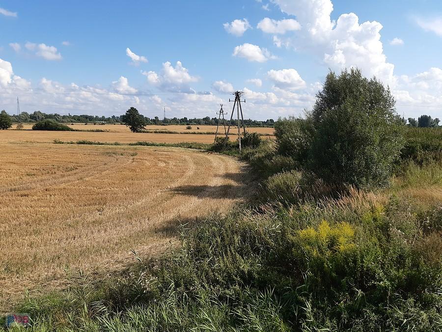 Widok na pole