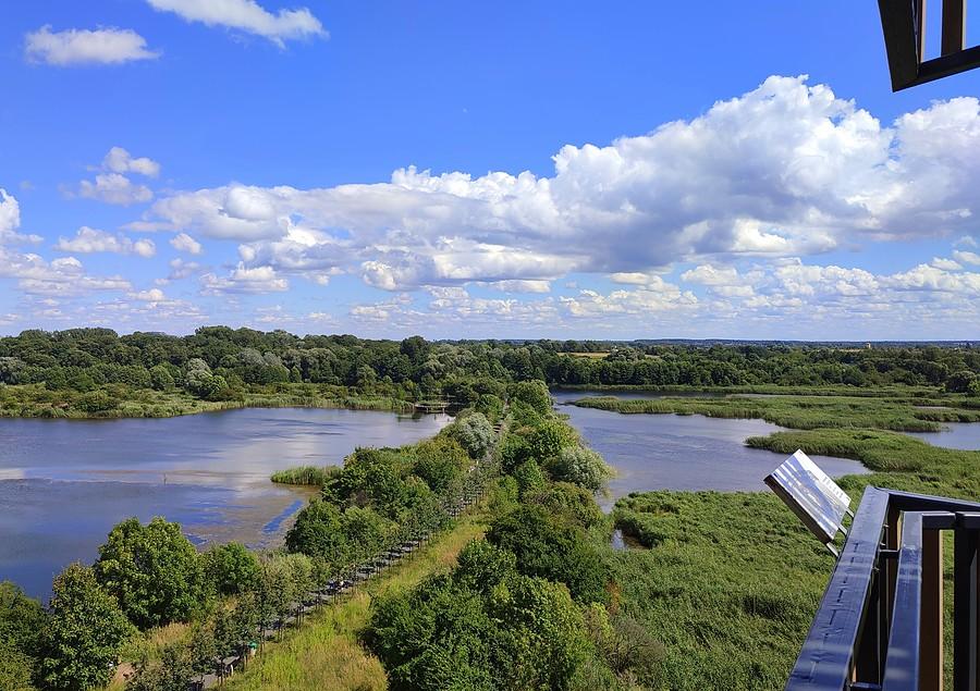 Widok z wieży na poznańskich Szachtach