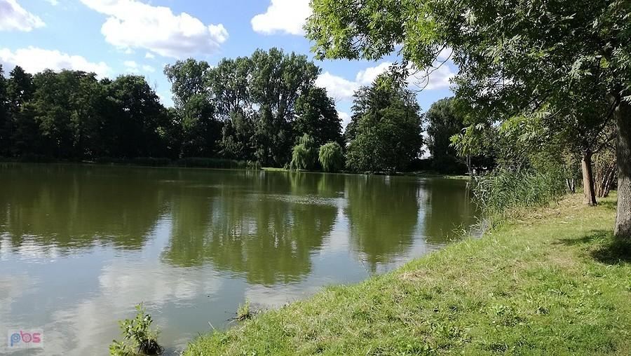 Staw w nieborowskim parku, w kilku miejscach woda po opadach wyszła poza linię brzegu
