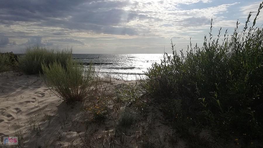 Mare Balticum