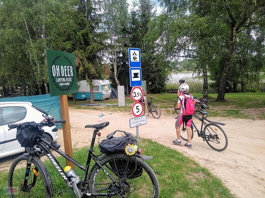 Camping OH-Deer Osiek