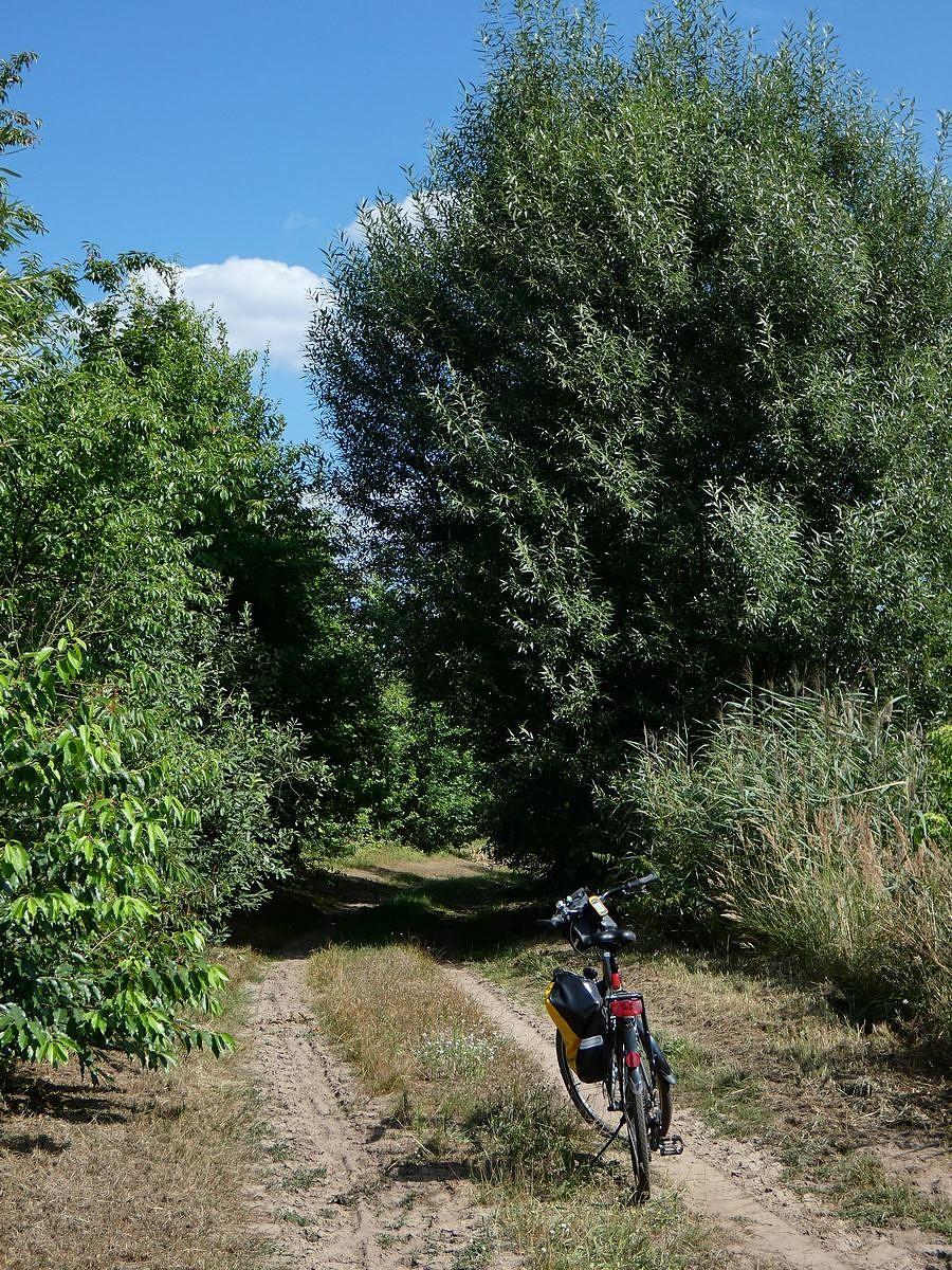 Jadę nad Staw Łęcza