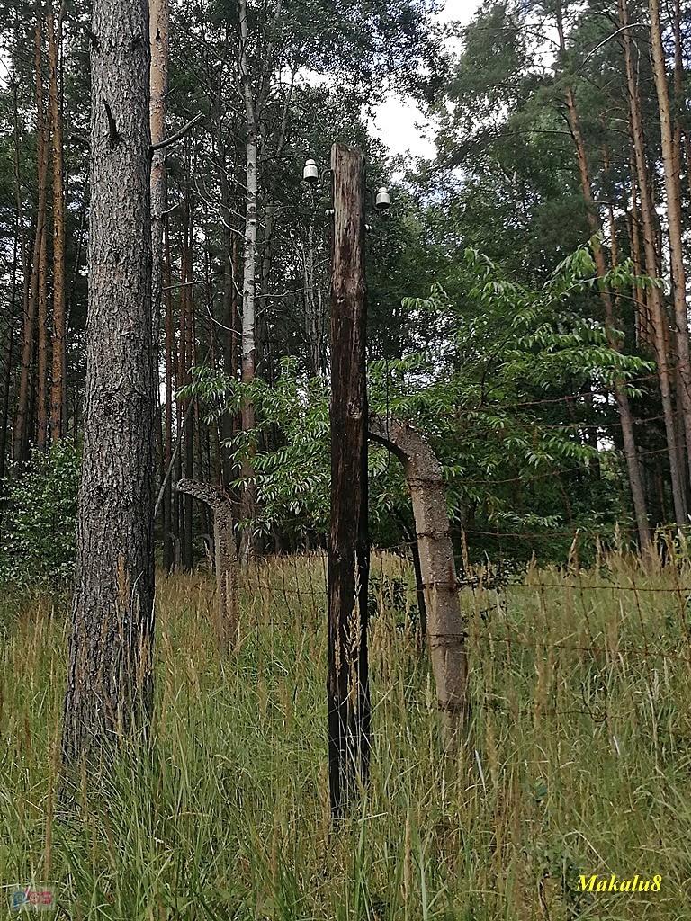 Ogrodzenie przy strzelnicy