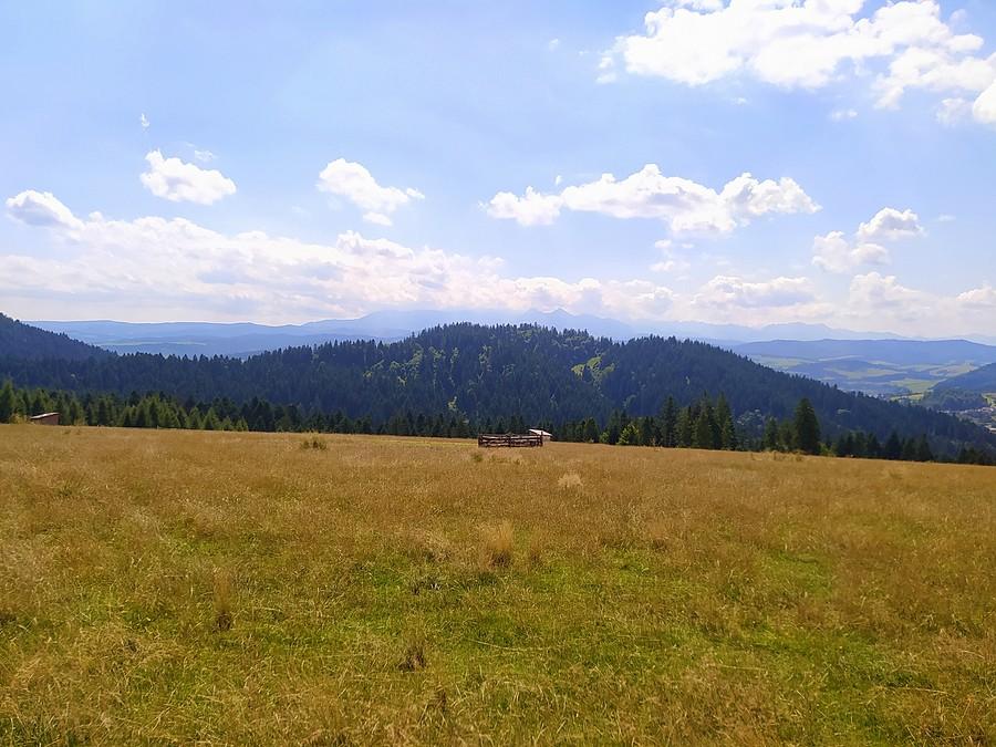 Tatry z Czorsztyna.