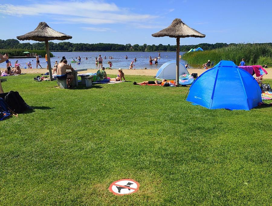 Jedyny minus Owocowej Plaży. Ale obok jest plaża dla psów