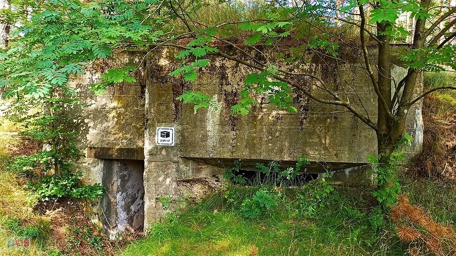 Jeden z bunkrów na terenie dawnego poligonu Gross Born