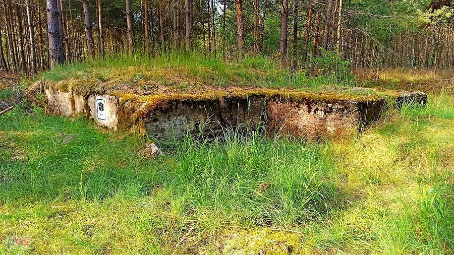 Bunkier na terenie dawnego poligonu Gross Born