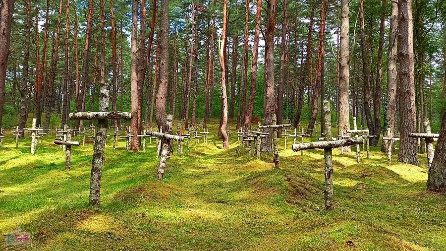 Cmentarz na terenie byłego Oflagu IID Gross Born