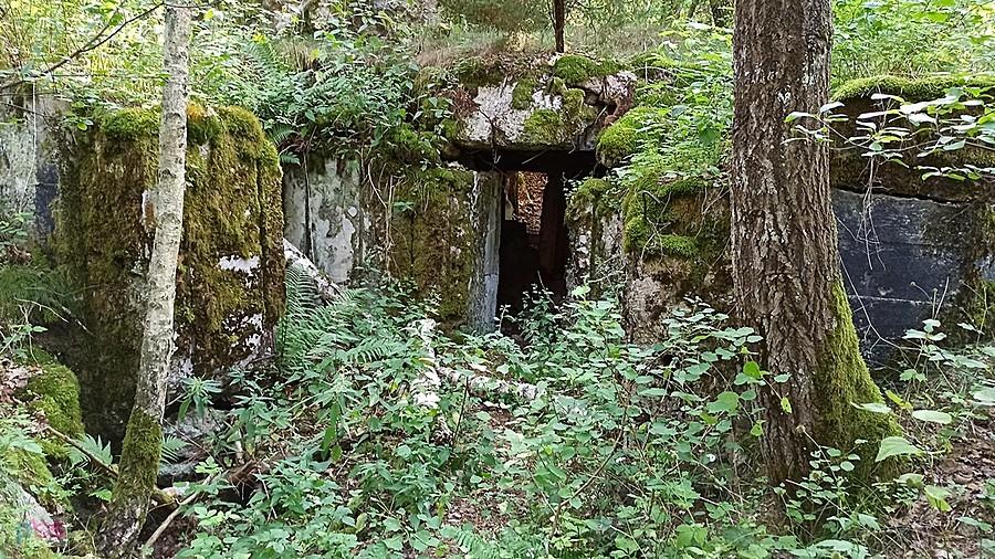 Jeden z bunkrów Wału Pomorskiego nad rzeką Piławą w rejonie Starowic.